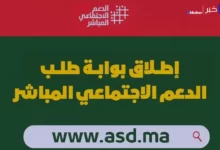 الدعم الاجتماعي المباشر